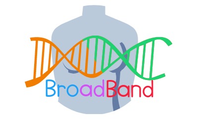 BroadBand logo